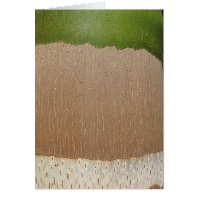 Palm Pattern (Voorkant)