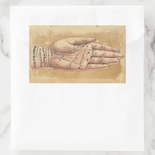 Palm Reading Sticker (Tas)