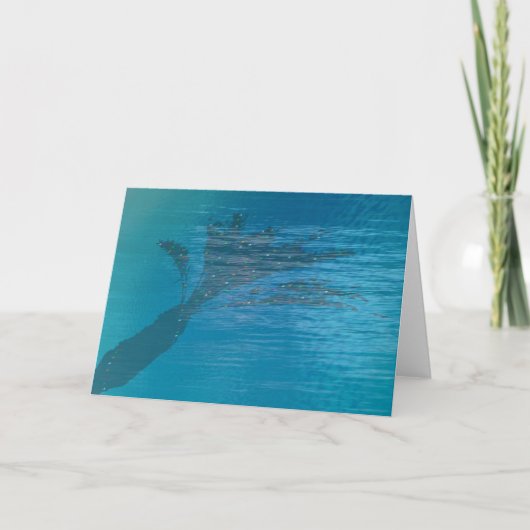 Palm Shadow in Pool Feestdagen Kaart (Voorkant)