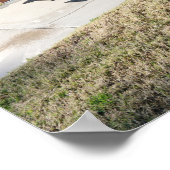 Palm Springs California -  Uitzichten Poster (Hoek)