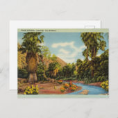 Palm Springs Canyon, Californië Briefkaart (Voorkant / Achterkant)