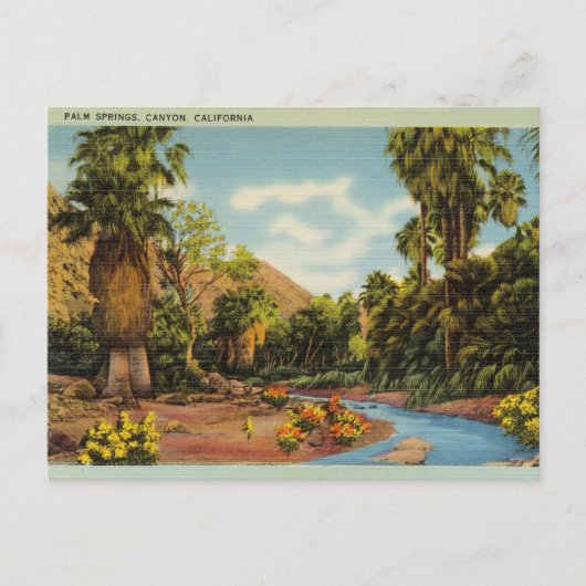 Palm Springs Canyon, Californië Briefkaart (Voorkant)