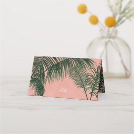 Palm Springs Plaatskaartjes