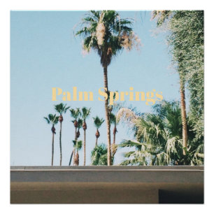 Palm Springs Reis Souvenir Perfect Poster