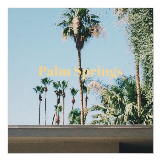 Palm Springs Reis Souvenir Perfect Poster (Voorkant)