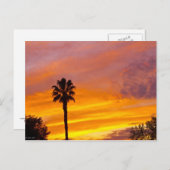Palm Springs Sunset Briefkaart (Voorkant / Achterkant)