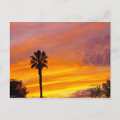 Palm Springs Sunset Briefkaart (Voorkant)