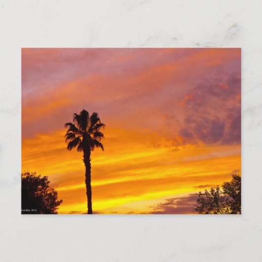 Palm Springs Sunset Briefkaart (Voorkant)