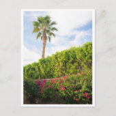 Palm Springs Woestijnbloemen & Palmboom Briefkaart (Voorkant)