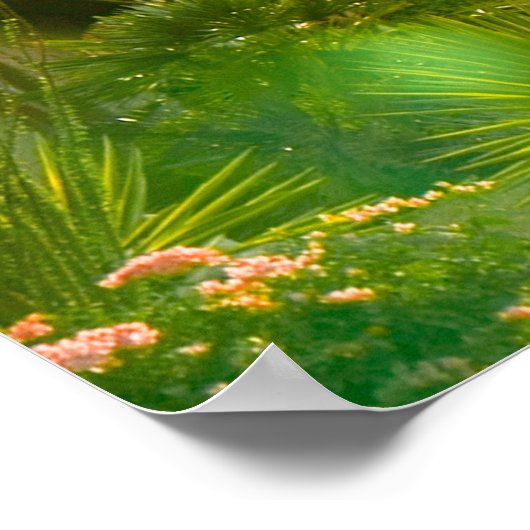 Palm Springs-zonsonderdag met bergen en palm tr Poster (Hoek)