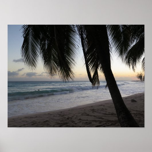 Palm Sunset Barbados Poster (Voorkant)