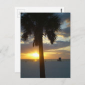 Palm Sunset Briefkaart (Voorkant / Achterkant)
