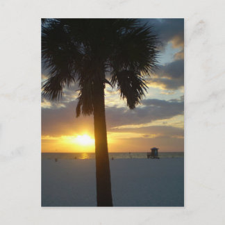 Palm Sunset Briefkaart