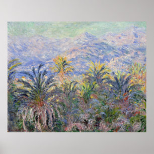 Palm Treat Bordighera - Claude Monet Poster