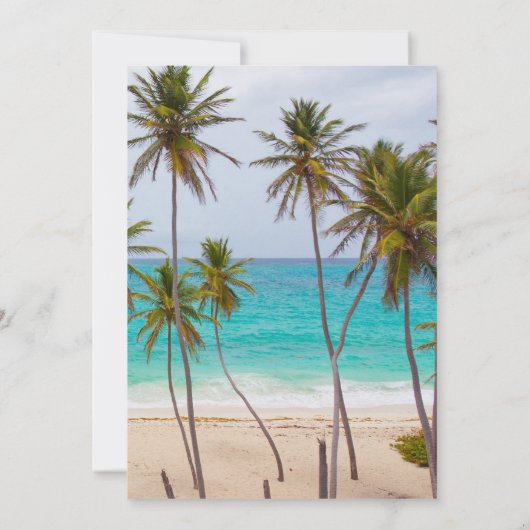 Palm Tree Beach Verplichtingsceremonie Uitnodiging (Achterkant)