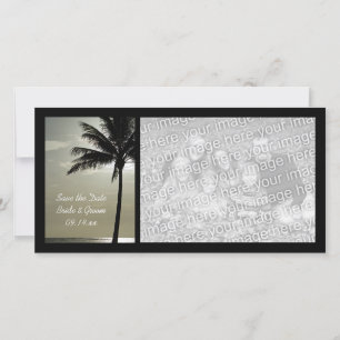 Palm Tree Beach Weddenschap Save the Date Photo Ca