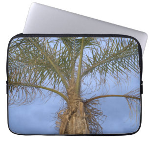 Palm Tree Blue Sky-laptophoes Laptop Sleeve