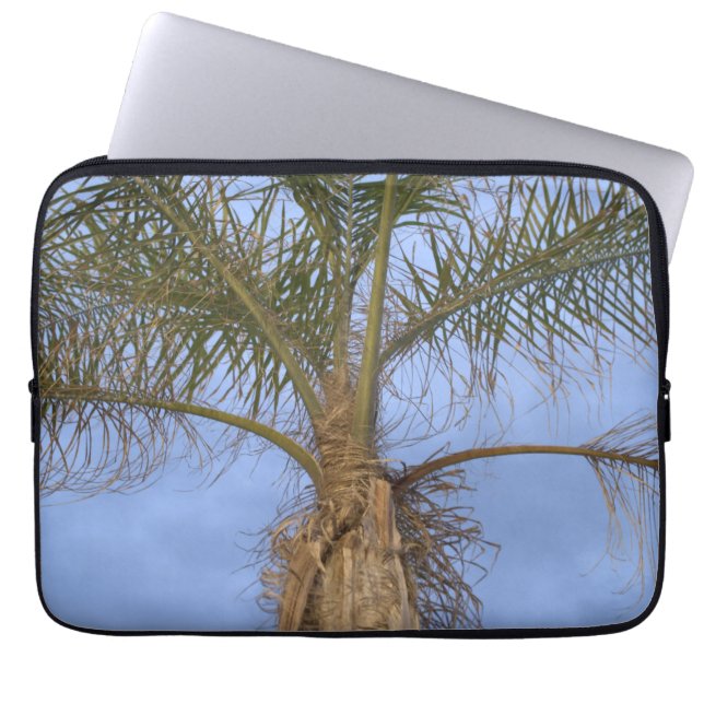 Palm Tree Blue Sky-laptophoes Laptop Sleeve (Voorkant)
