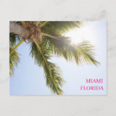 Palm Tree Blue Sky Miami Florida Travel Briefkaart (Voorkant)