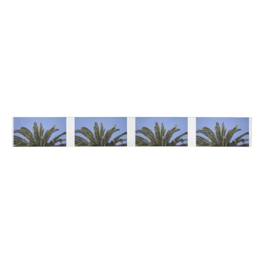 Palm Tree Blue Sky Tropical Grosgrain Lint (Voorkant)