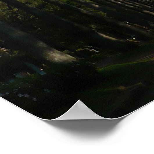 Palm Tree Boulevard Poster (Hoek)