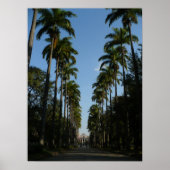 Palm Tree Boulevard Poster (Voorkant)