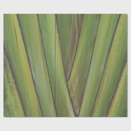 Palm Tree cadeaupapier (Vlak)