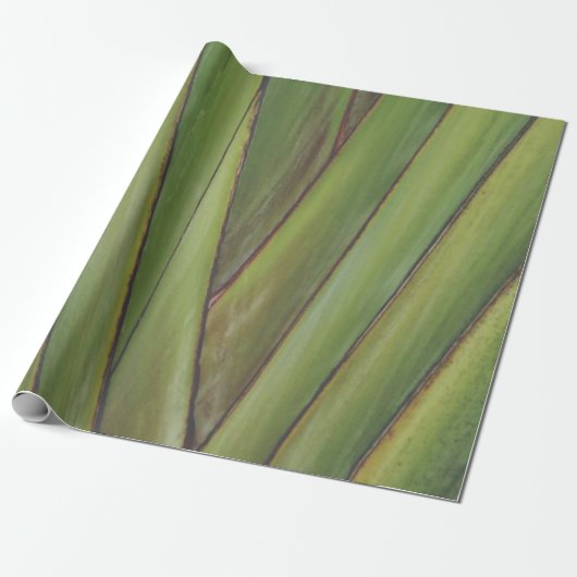 Palm Tree cadeaupapier (Uitgerold)