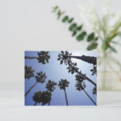 Palm Tree California Santa Barbara Briefkaart (Staand voorkant)