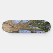Palm Tree Close-skateboard - Kies UW grootte Skateboard (Horizontaal)