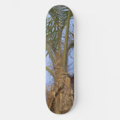 Palm Tree Close-skateboard - Kies UW grootte Skateboard (Voorkant)