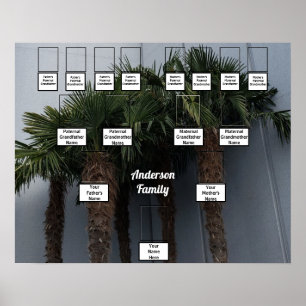 Palm Tree Cluster Poster Fotofamilie