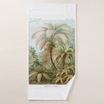 Palm Tree Ernst Haeckel