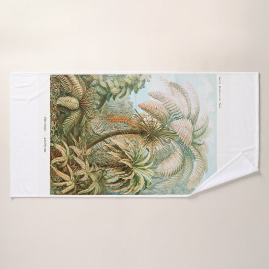 Palm Tree Ernst Haeckel Badhanddoek (Badhanddoek)
