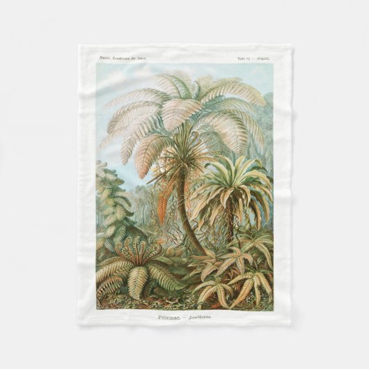 Palm Tree Ernst Haeckel Fleece Deken (Voorkant)
