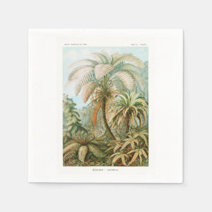 Palm Tree Ernst Haeckel Servet