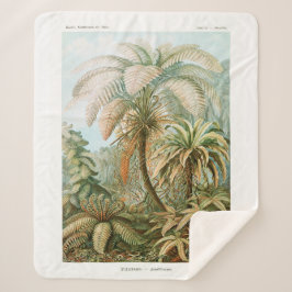 Palm Tree Ernst Haeckel Sherpa Deken