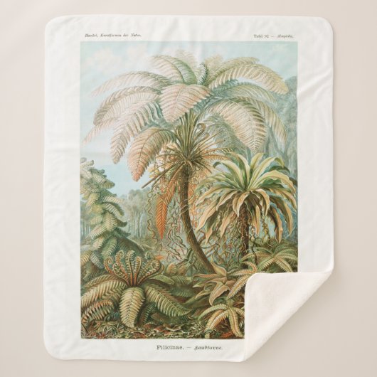 Palm Tree Ernst Haeckel Sherpa Deken (Voorkant)