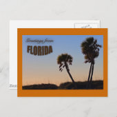 Palm Tree Florida Post Card Briefkaart (Voorkant / Achterkant)