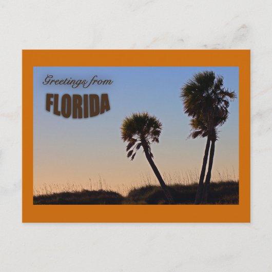 Palm Tree Florida Post Card Briefkaart (Voorkant)