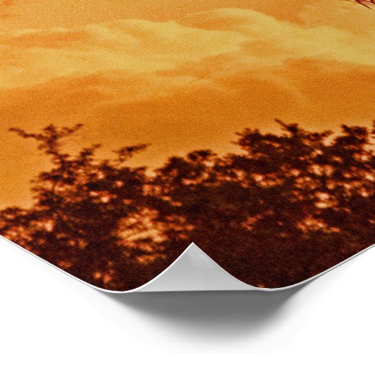 Palm Tree Golden Hour Poster (Hoek)