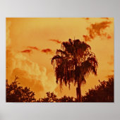 Palm Tree Golden Hour Poster (Voorkant)