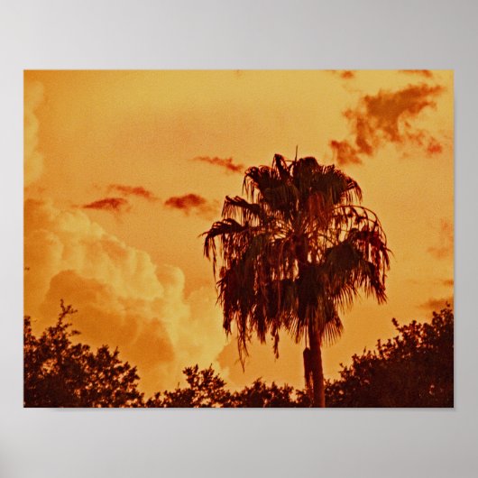 Palm Tree Golden Hour Poster (Voorkant)
