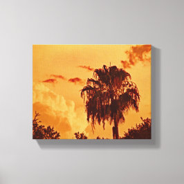 Palm Tree Gouden Uur Uitgerekt Canvas Print