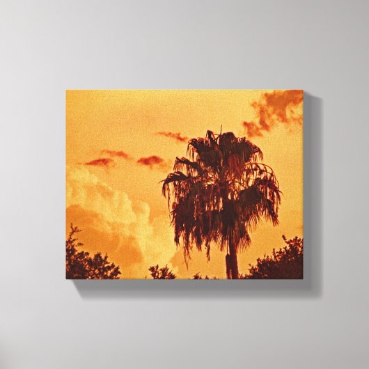 Palm Tree Gouden Uur Uitgerekt Canvas Print (Voorkant)