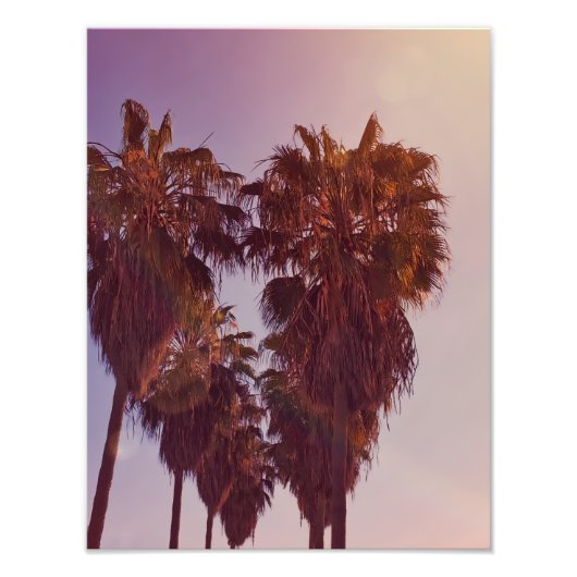 Palm Tree Heart Photo Foto Afdruk (Voorkant)