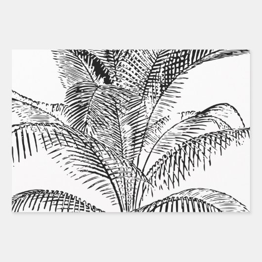 Palm Tree Leaves Black & White Abstract Pattern Inpakpapier Vel (Voorkant 3)