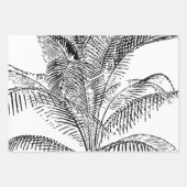 Palm Tree Leaves Black & White Abstract Pattern Inpakpapier Vel (Voorkant 2)