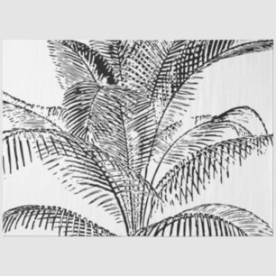 Palm Tree Leaves Black & White Abstract Pattern Tissuepapier