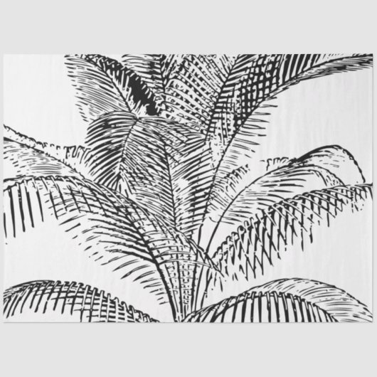 Palm Tree Leaves Black & White Abstract Pattern Tissuepapier (Voorkant)
